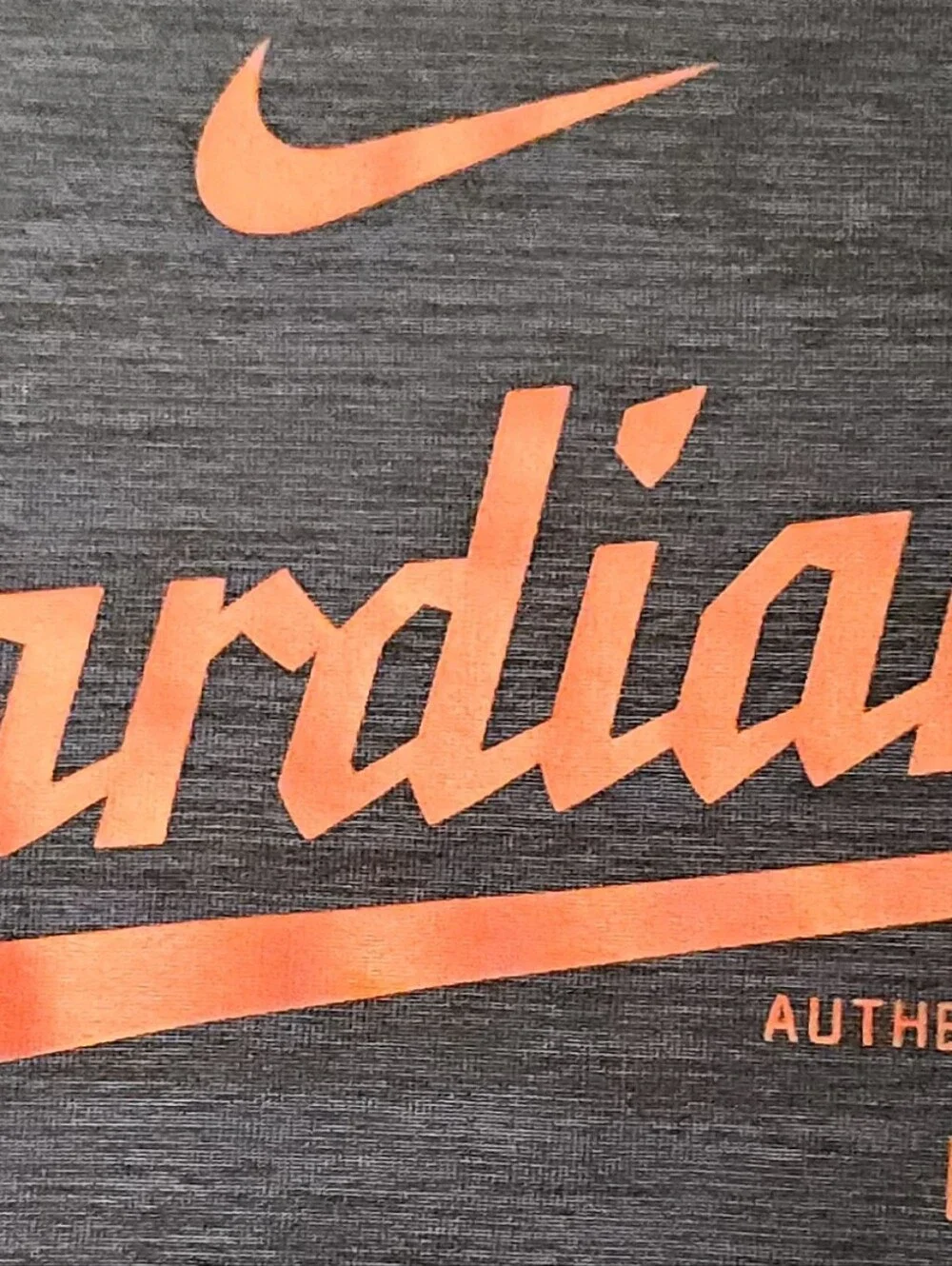 Nike Authentic Collection Cleveland Guardians Dri-Fit T Shirt